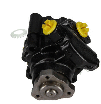 Hydraulic Pump, steering (HP266)