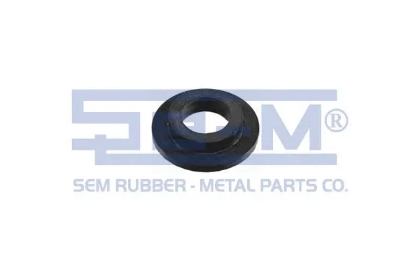Seal Ring (10919)
