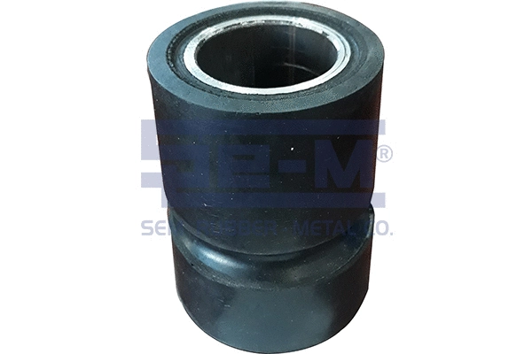 Mounting, leaf spring (14810)