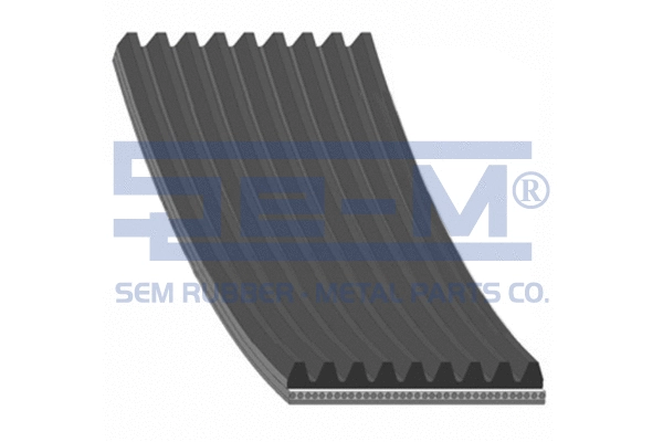 V-Ribbed Belt (10396)