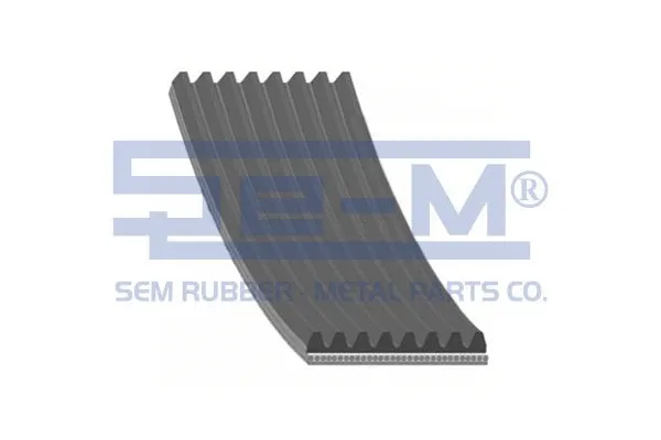 V-Ribbed Belt (11687)