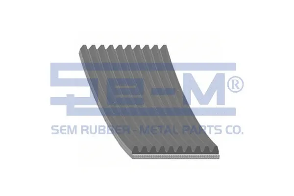 V-Ribbed Belt (12905)