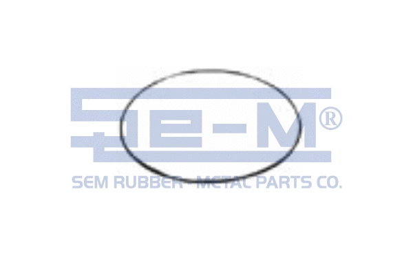 Seal Ring (7319)