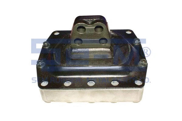 Mounting, engine (8343)