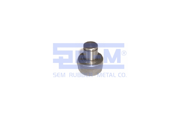 Bearing, clutch lever (12160)