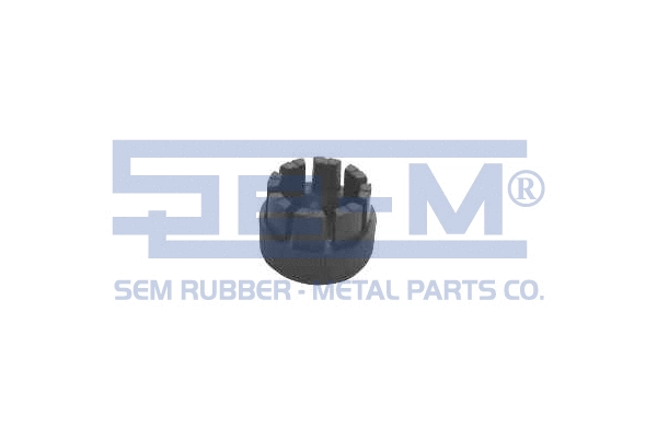 Rod, master cylinder (10455)