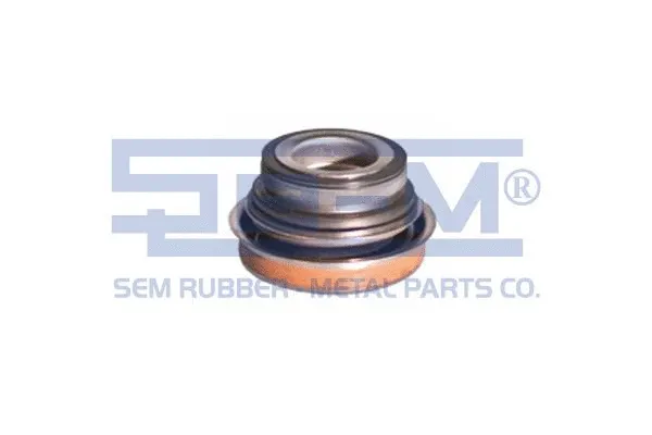 Shaft Seal, water pump shaft (11348)