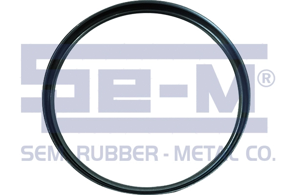 Shaft Seal, wheel hub (14814)