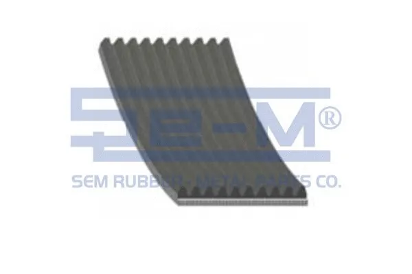 V-Ribbed Belt (11697)