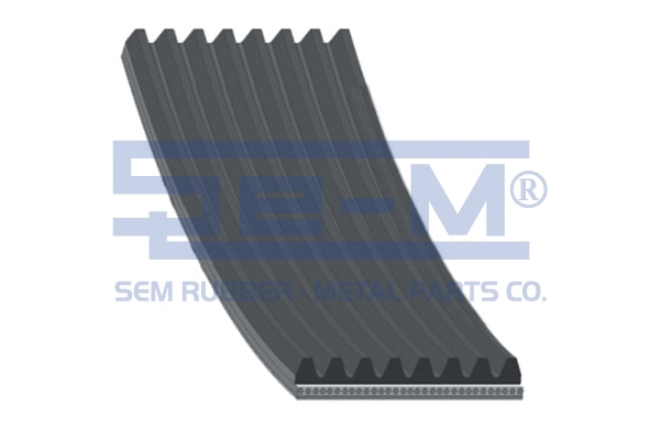 V-Ribbed Belt (10328)