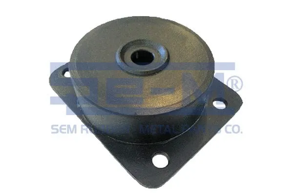 Mounting, engine (13581)