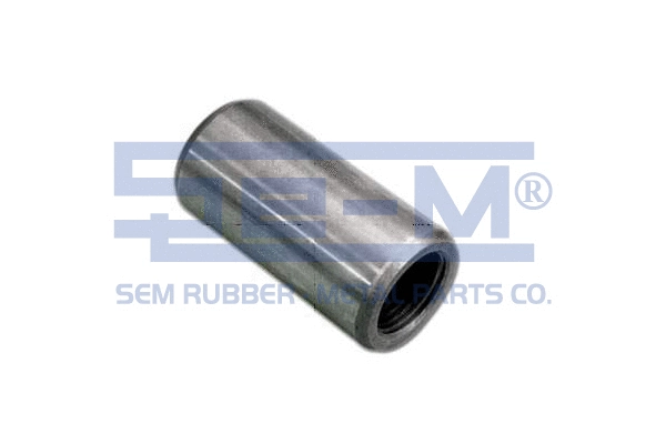 Bush, spring eye (9278)