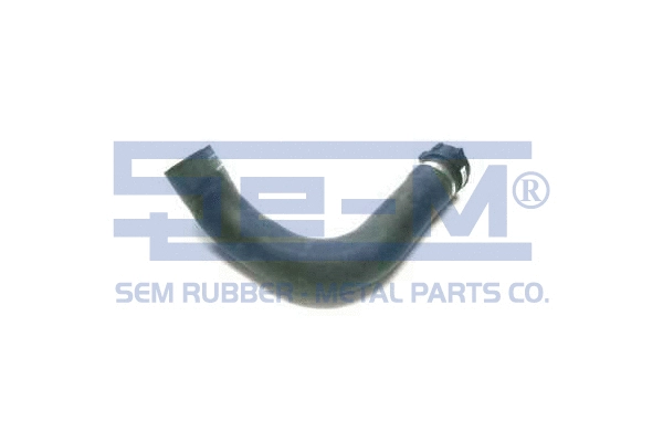 Radiator Hose (10596)