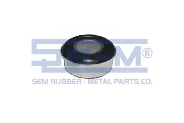 Mounting, control/trailing arm (12999)