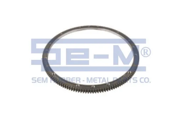 Ring Gear, flywheel (13094)