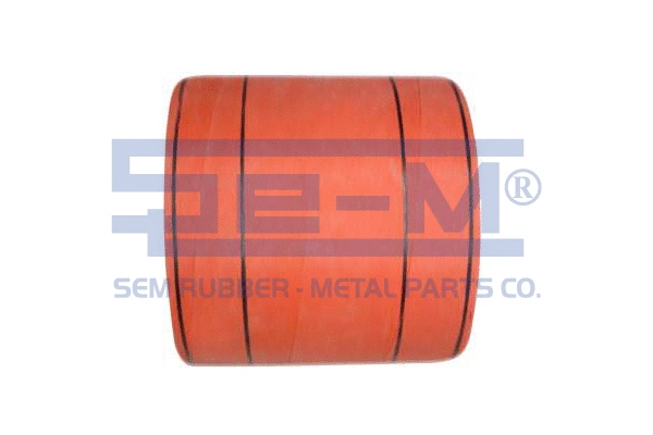 Charge Air Hose (8838)