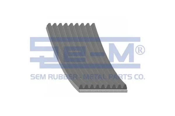 V-Ribbed Belt (12902)