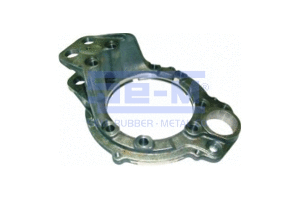 Bracket, brake caliper (9957)