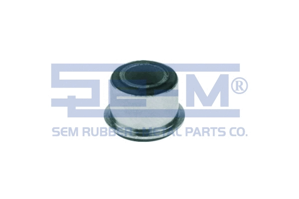 Mounting, control/trailing arm (10072)