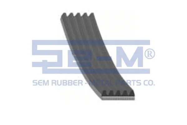 V-Ribbed Belt (11673)
