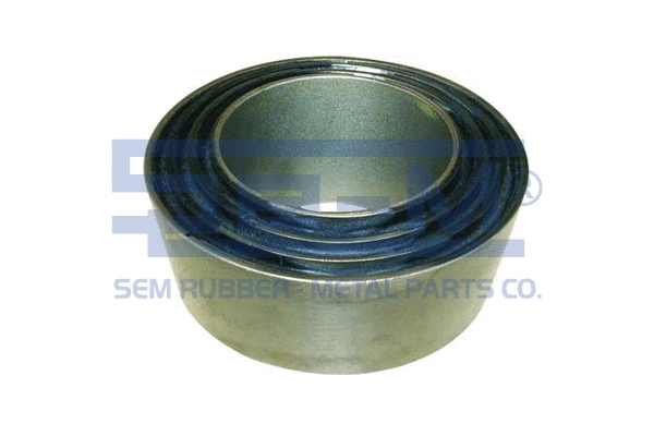 Mounting, leaf spring (8622)