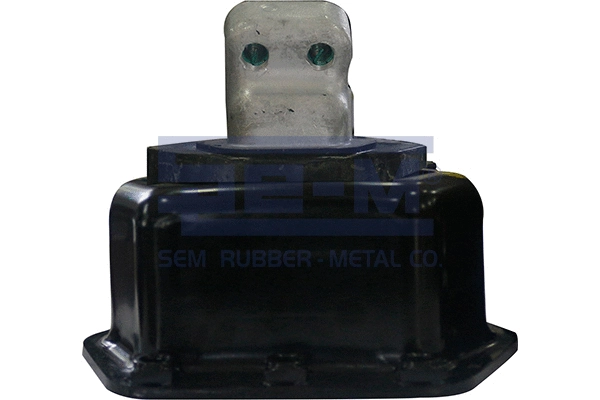 Mounting, engine (15301)
