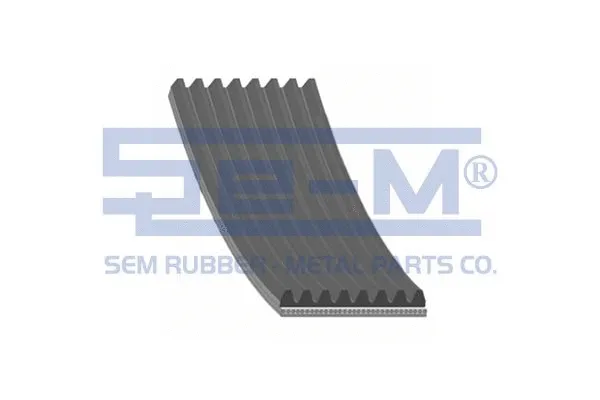 V-Ribbed Belt (12895)