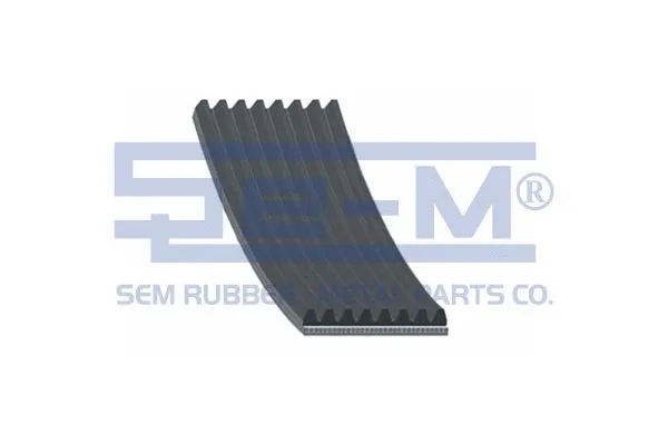 V-Ribbed Belt (12896)