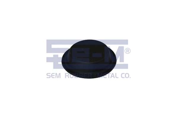 Membrane, spring-loaded cylinder (15877)