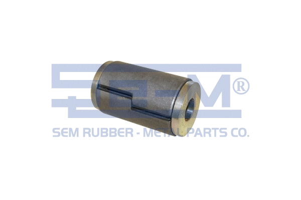 Bush, spring eye (8756)