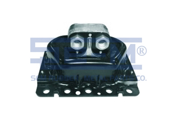Mounting, engine (9623)