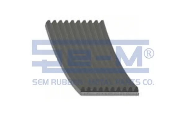 V-Ribbed Belt (11699)