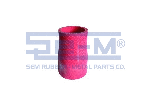 Radiator Hose (10054)