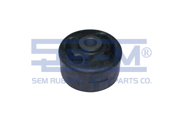 Mounting, control/trailing arm (10210)