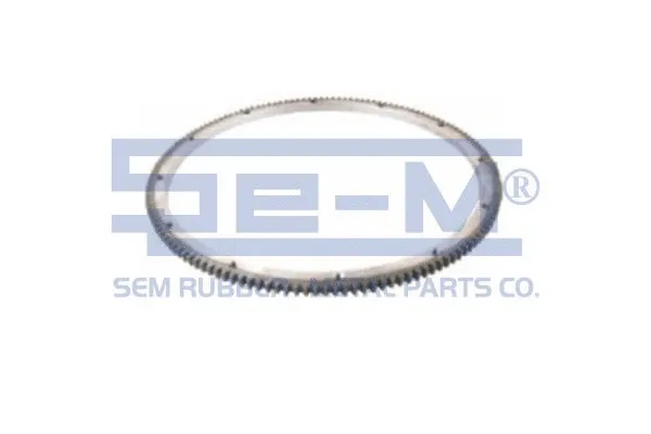 Ring Gear, flywheel (13099)