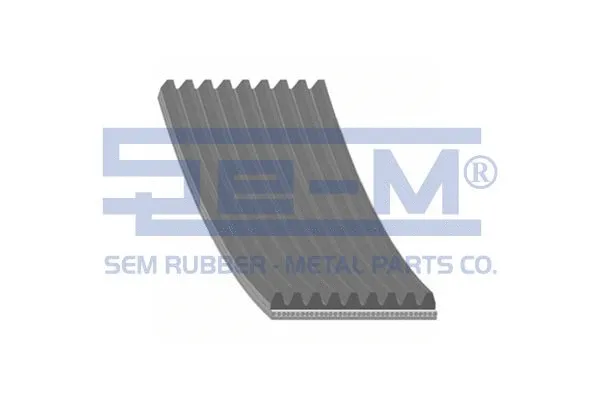 V-Ribbed Belt (11694)