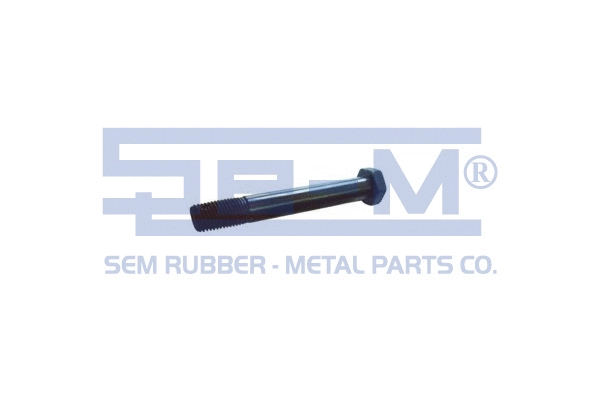 Screw (10081)