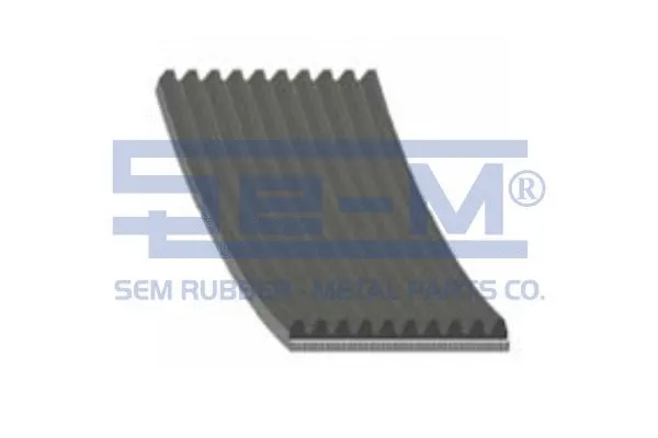 V-Ribbed Belt (11700)