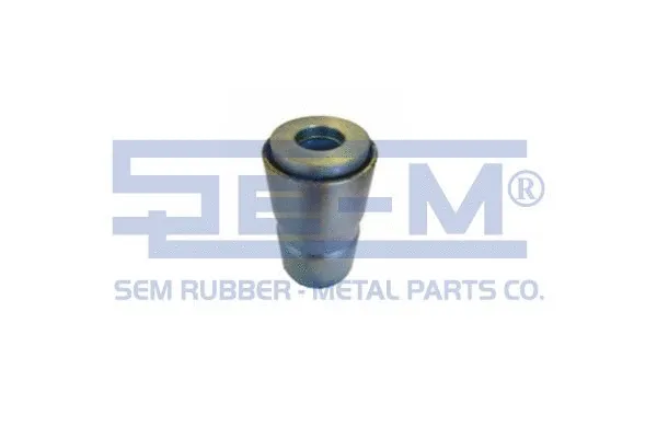 Bushing, leaf spring (12000)