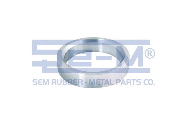 Ring, wheel hub (9870)