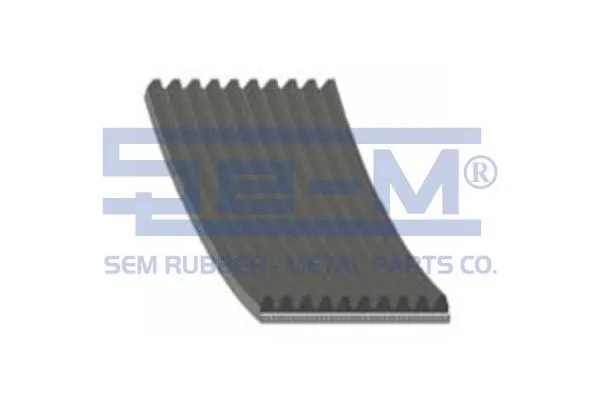 V-Ribbed Belt (11698)