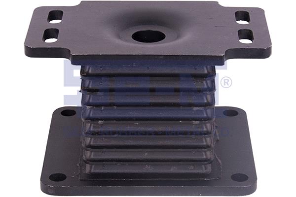 Mounting, leaf spring (16578)