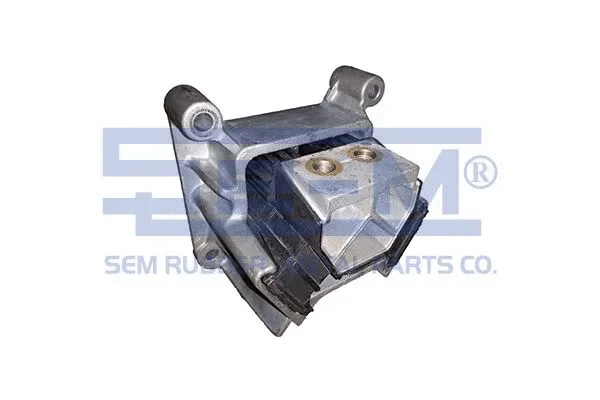 Mounting, engine (13300)