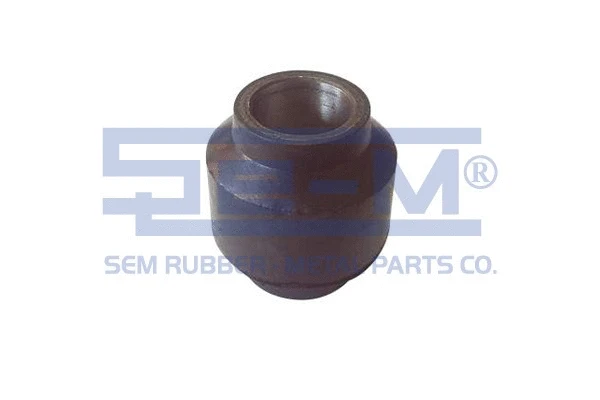 Bushing, axle beam (7973)