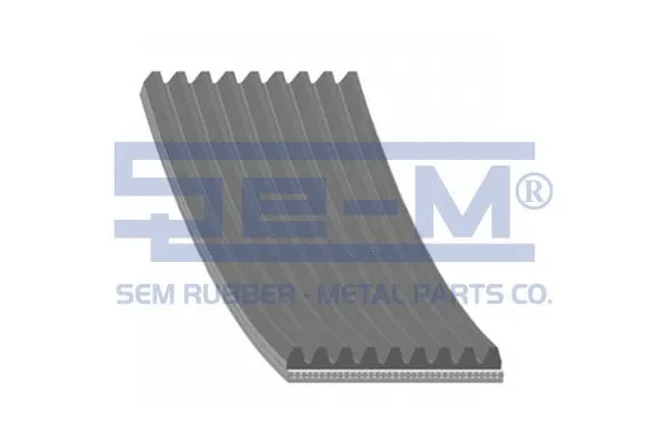 V-Ribbed Belt (11696)