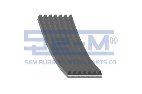V-Ribbed Belt (12891)