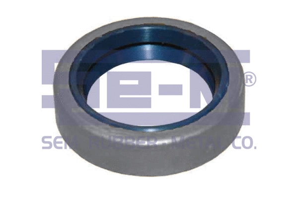 Seal Ring (15010)