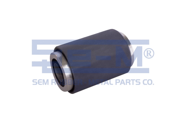 Mounting, control/trailing arm (9231)