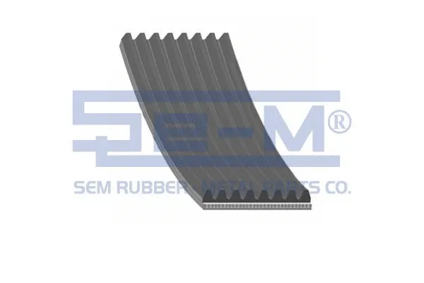 V-Ribbed Belt (12893)