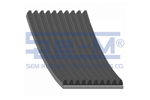 V-Ribbed Belt (10401)